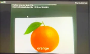 Image Classification Demo image