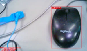 Object Detection Image