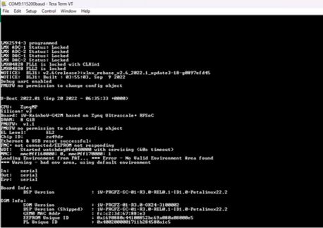 Debug Terminal
