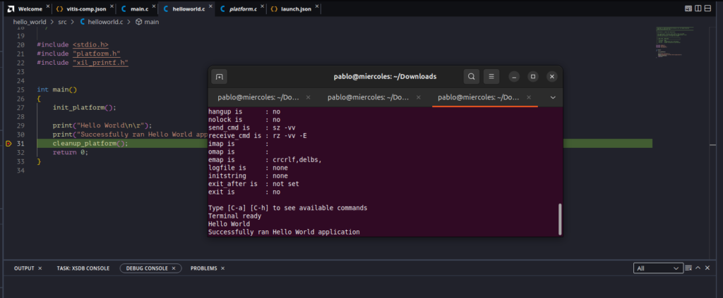 Debugging with Vitis_2